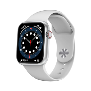 Slika od Smart Watch DT100 Pro Plus srebrni (silikonska narukvica)