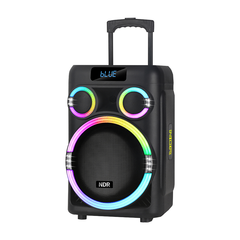 Slika od Zvucnik bluetooth NDR-B315 60W 15inca sa dva mikrofona crni