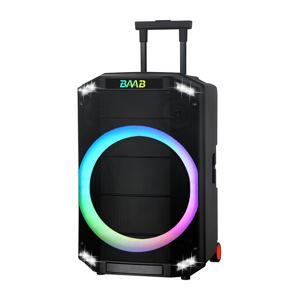 Slika od Zvucnik bluetooth NDR-B12-01 60W 12inca sa dva mikrofona crni