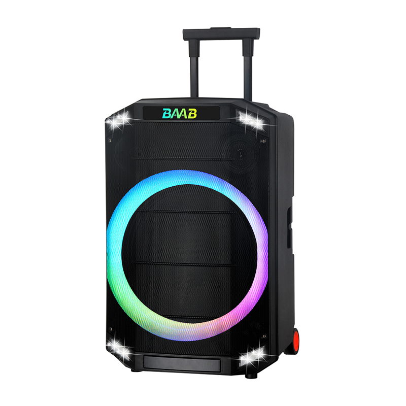 Slika od Zvucnik bluetooth NDR-B12-01 60W 12inca sa dva mikrofona crni